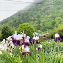 田舎で移住生活。時代に合った生き方。農家という選択。